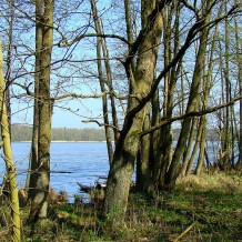 Jezioro Myśliborskie Małe