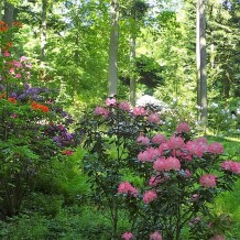 Arboretum Karnieszewice