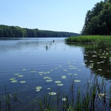 Jezioro Rejowickie