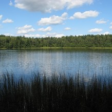 Rezerwat przyrody Jezioro Czarnówek