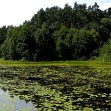 Jezioro Chomiąskie