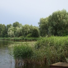 Jezioro Gąsawskie