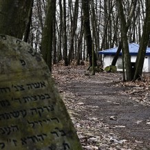 Cmentarz żydowski w Kocku