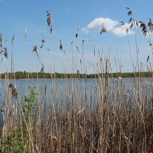 Jezioro Moszne