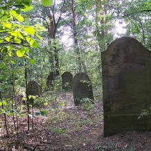 Cmentarz żydowski w Kolbuszowej