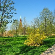Park Hallera w Dąbrowie Górniczej