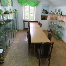 Muzeum Żaby w Żabiej Woli