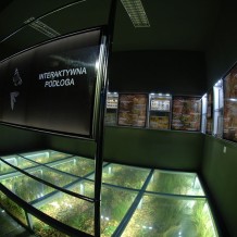 Muzeum Przyrodnicze w Ciężkowicach