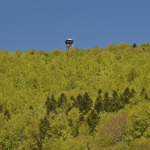 Wieża widokowa na Jeleniowatym