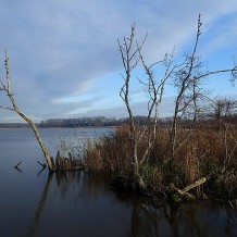 Rezerwat przyrody Jezioro Liwia Łuża