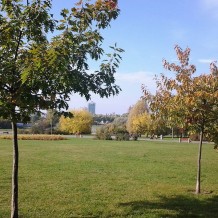 Park Nad Wartą w Poznaniu