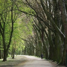 Park Adama Wodziczki w Poznaniu