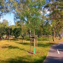 Park Na Skarpie w Toruniu