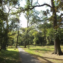Park Tysiąclecia w Toruniu