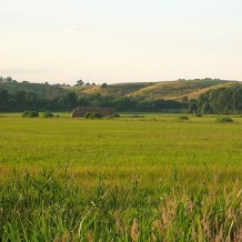 Skarpy Ślesińskie