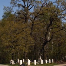 Cmentarz wojenny nr 376 – Suchoraba