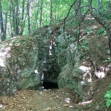 Jaskinia Niska w Świniuszce