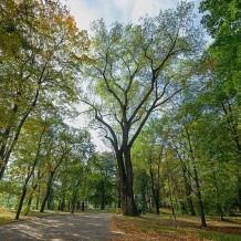 Zespół Parkowo-Pałacowy Schöna