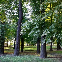 Park im. księcia Józefa Poniatowskiego w Sosnowcu