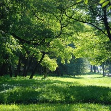 Park Mieroszewskich w Zagórzu