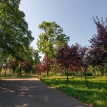 Park Milowice