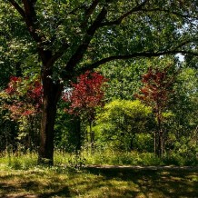 Park Środula Okrzei