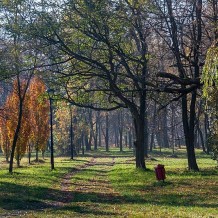 Park Wygoda w Sosnowcu