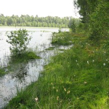 Rezerwat przyrody Jezioro Krasne