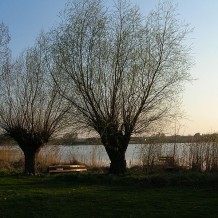 Jezioro Orchowskie