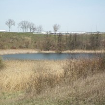 Jezioro Koszyk