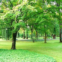 Park Plac Grunwaldzki