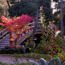 Park Szczytnicki