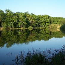 Jezioro Dziewicze