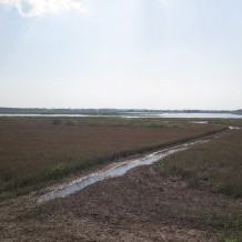 Rezerwat przyrody Jezioro Rakutowskie