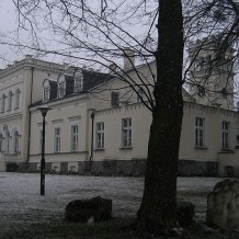 Pałac w Skokach