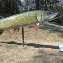 Park Ryb Słodkowodnych w Trzciance