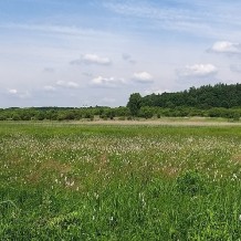 Dębnicko-Tyniecki obszar łąkowy