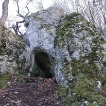 Jaskinia w Górze Doliny Kobylańskiej