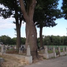 Cmentarz wojenny nr 309 – Trzciana
