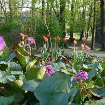 Park Wrocławski w Lubinie