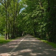 Bażantarnia w Siemianowicach Śląskich