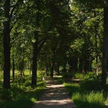 Park Ludowy w Siemianowicach Śląskich