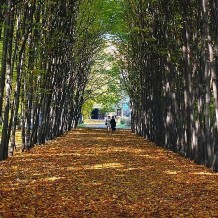 Park Miejski w Siemianowicach Śląskich