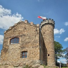 Zamek Henryka