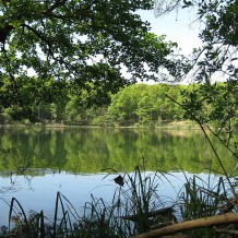 Obszar ochrony ścisłej Jezioro Kociołek