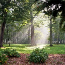 Park w Świerklańcu