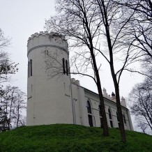 Zamek w Przedczu