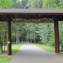 Pokazowa Zagroda Żubrów w Pszczynie