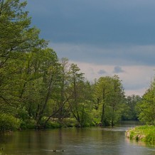 Przystań Liwiec