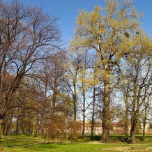 Park Schopenhauera